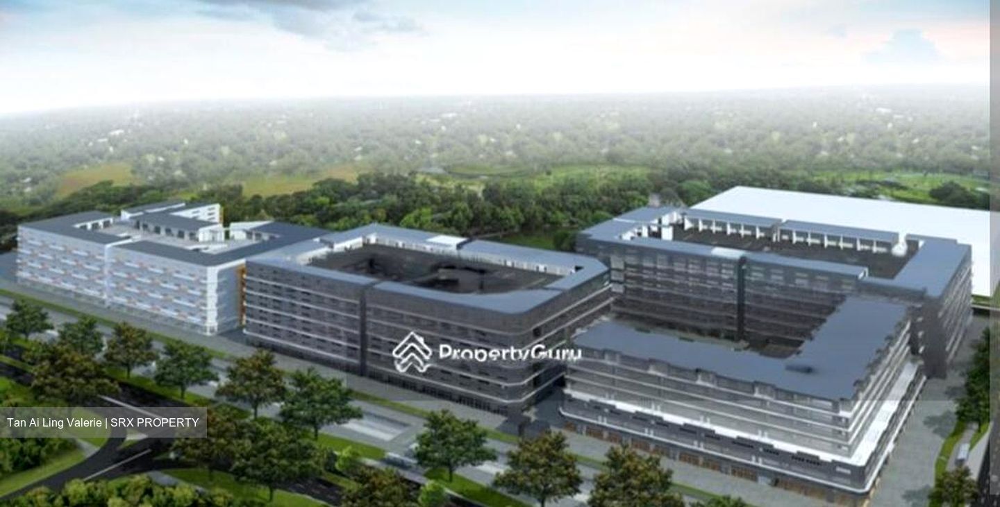 Pioneer Point (D22), Factory #490911791